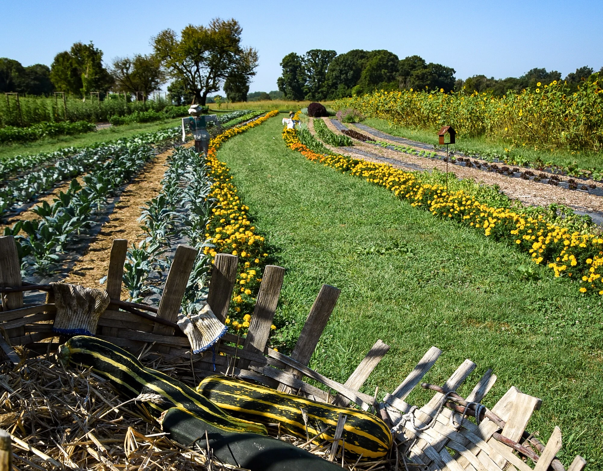 campi coltivati piana di vegonno