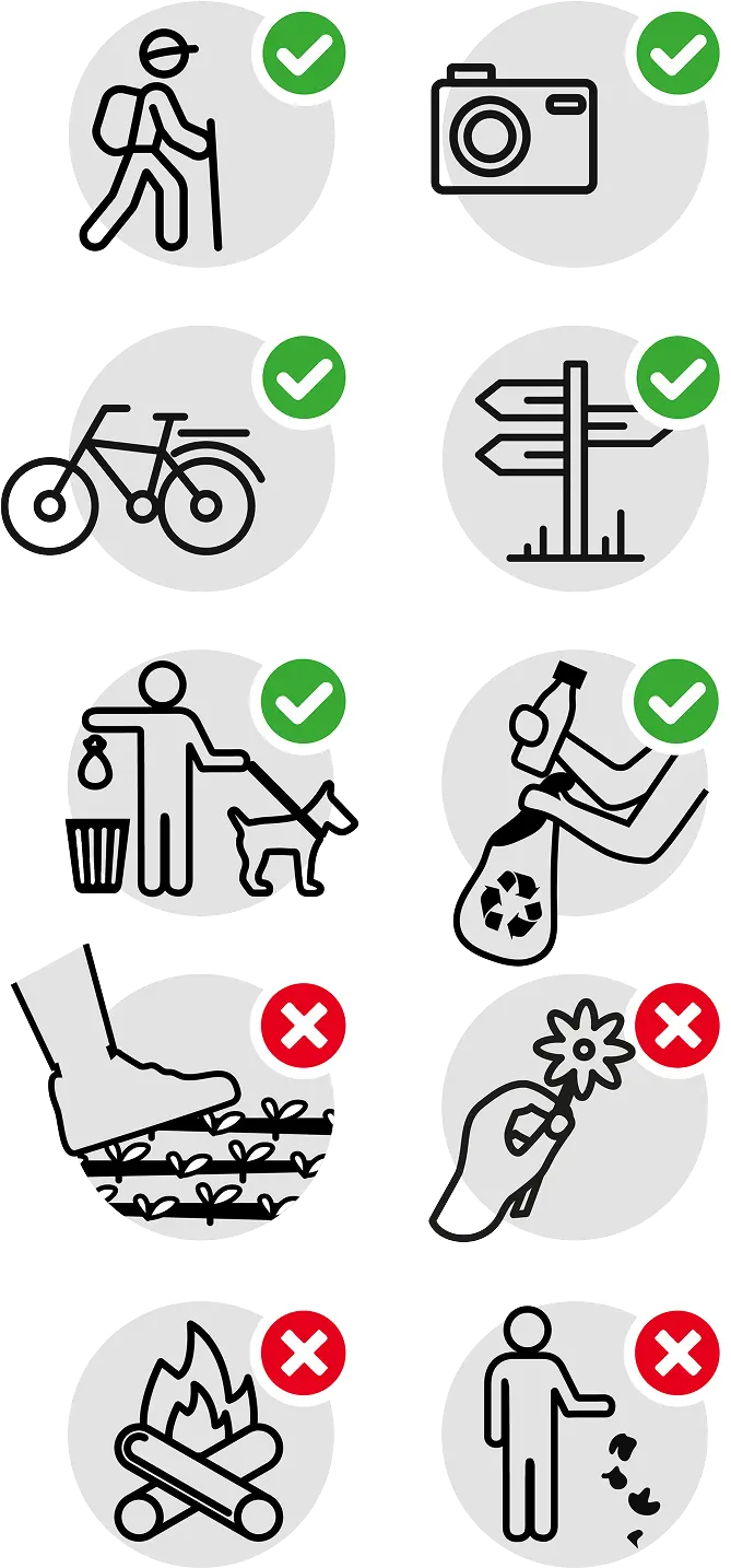 icone norme di comportamento